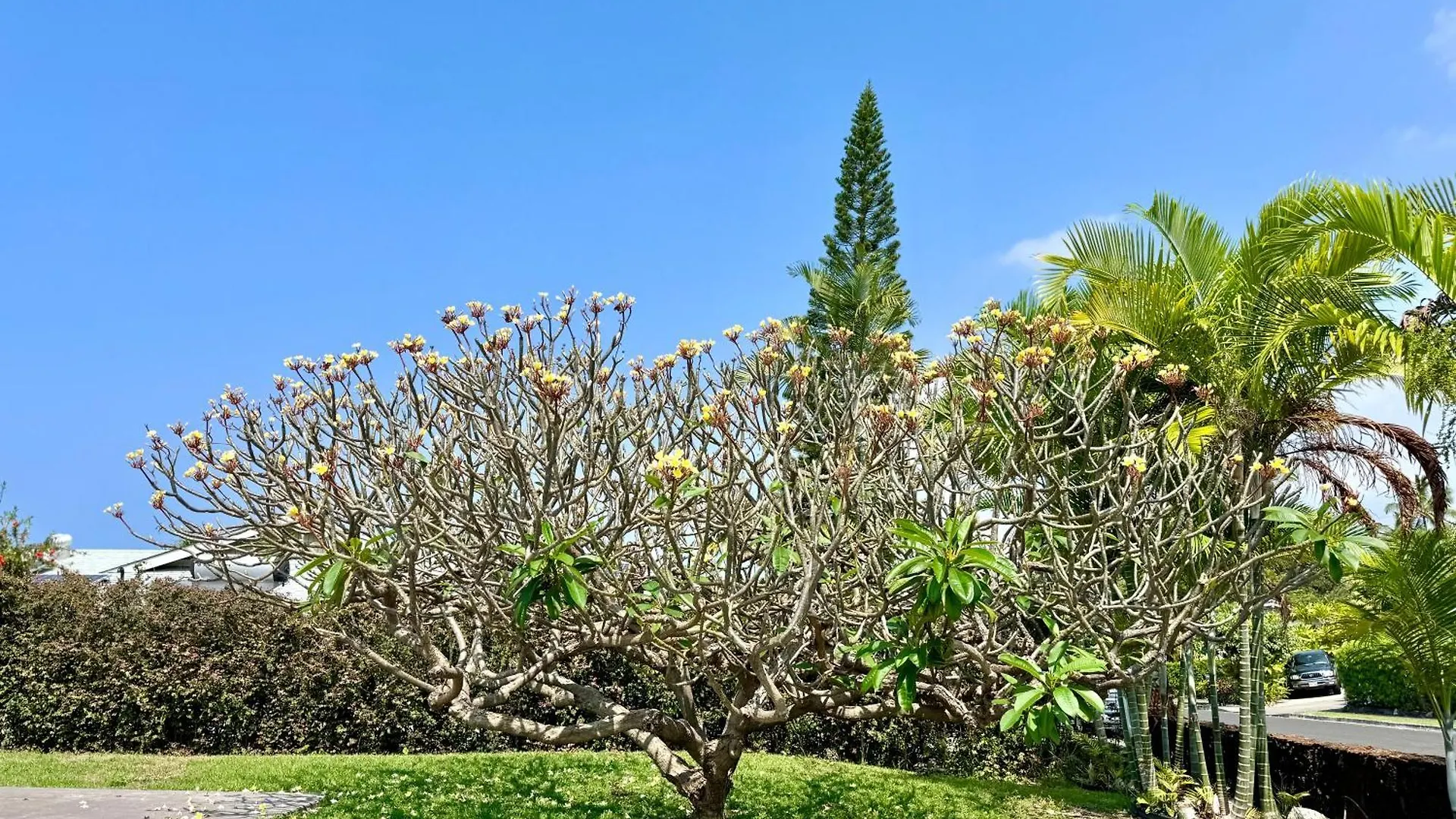 Panoramic Ocean View Home With Pool By Kona Philong Kailua-Kona 0*,